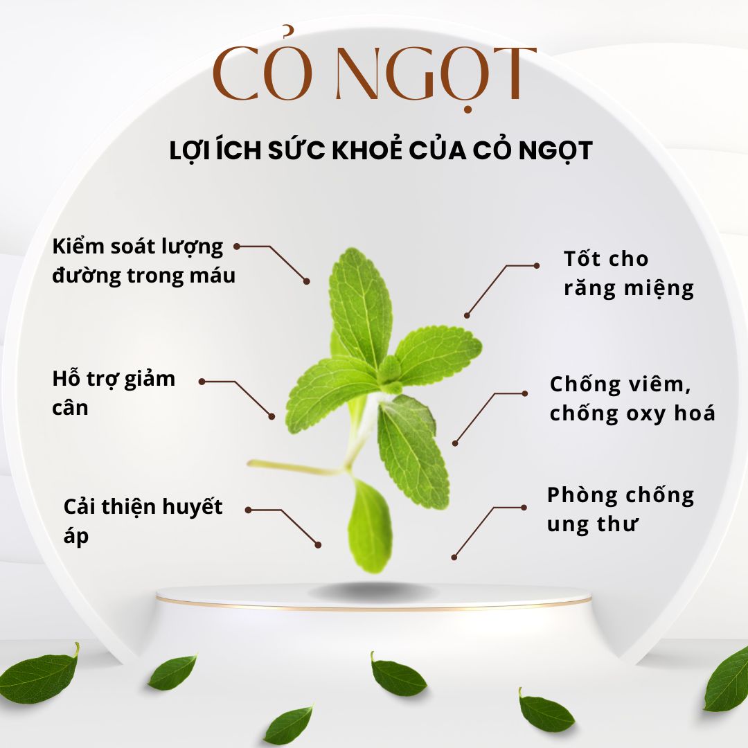 Loại thảo mộc ngọt hơn đường gấp 200 đến 400 lần nhưng lại rất tốt cho sức khoẻ- Ảnh 2.